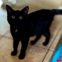 Thumbnail photo of Ruby #4