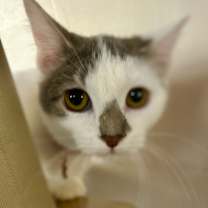 Thumbnail photo of Rosie #2