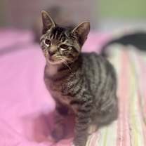 Thumbnail photo of Lenny #4