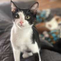 Thumbnail photo of Peter #2