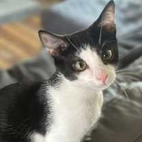 Thumbnail photo of Peter #3