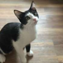 Thumbnail photo of Peter #4