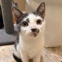 Thumbnail photo of Bennett #2