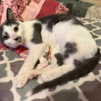 Thumbnail photo of Bennett #3