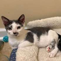 Thumbnail photo of Bennett #4