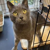 Thumbnail photo of Noah kb #1