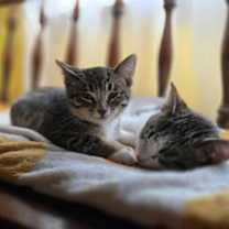 Thumbnail photo of Joey kb bond w Jilley #3