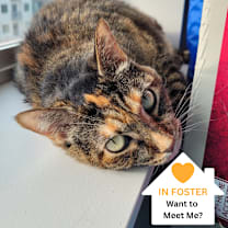 Thumbnail photo of Gertrude #1