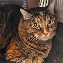 Thumbnail photo of Gertrude #2