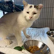 Thumbnail photo of Corduroy-C #2