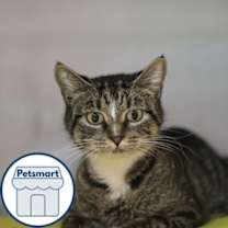 Thumbnail photo of Lucy #1