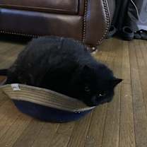 Thumbnail photo of Woody #1