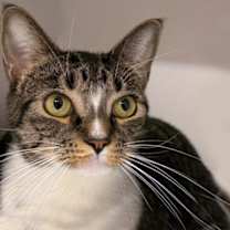 Thumbnail photo of Tommy #2