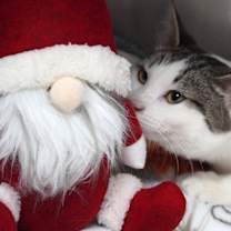 Thumbnail photo of Daiquiri #4