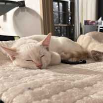 Thumbnail photo of Petra #3