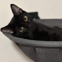 Thumbnail photo of Ennui (with Letto) #1