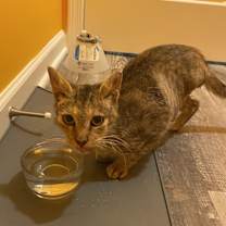 Thumbnail photo of Hope #2