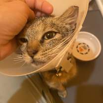 Thumbnail photo of Hope #3