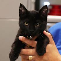 Thumbnail photo of Freya #2