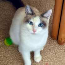 Thumbnail photo of Mina #1