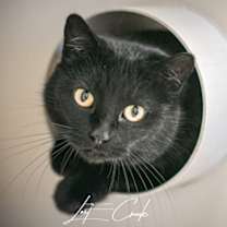 Thumbnail photo of Sabrina #1