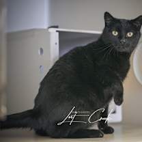 Thumbnail photo of Sabrina #3