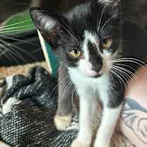 Thumbnail photo of Spooky #2