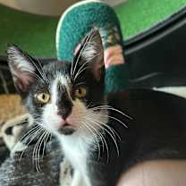 Thumbnail photo of Spooky #4