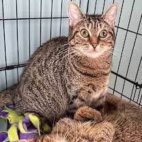 Thumbnail photo of Margaret #1