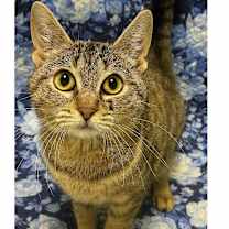 Thumbnail photo of Margaret #2