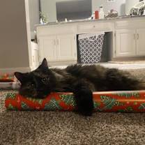 Thumbnail photo of Sydney #2