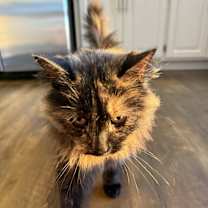 Thumbnail photo of Sydney #3