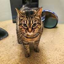 Thumbnail photo of Lola #2