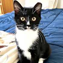 Thumbnail photo of Elizabeth Taylor #4