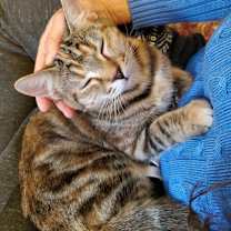 Thumbnail photo of Opal #1