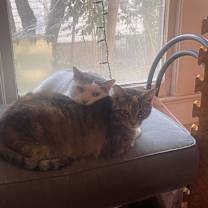 Thumbnail photo of Ginny #4