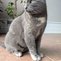 Thumbnail photo of Millie #3