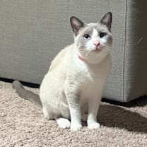 Thumbnail photo of Olivia #2