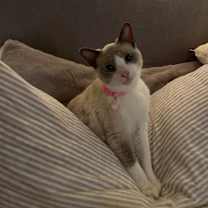 Thumbnail photo of Olivia #3