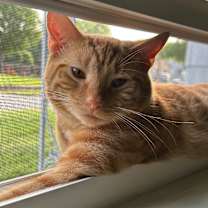 Thumbnail photo of Zeus #3