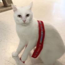 Thumbnail photo of Polar Bear #3