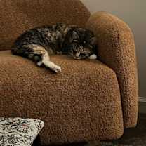 Thumbnail photo of Sally Owens #3