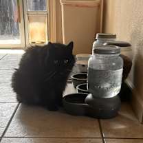 Thumbnail photo of Jones #4