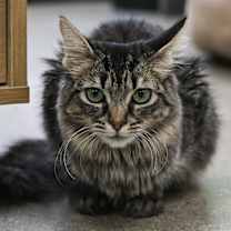 Thumbnail photo of Rhonda #2