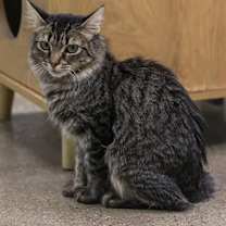 Thumbnail photo of Rhonda #3