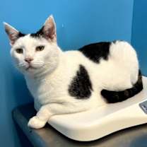 Thumbnail photo of Tank #1