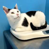 Thumbnail photo of Tank #3