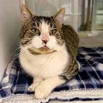 Thumbnail photo of Galileo #2