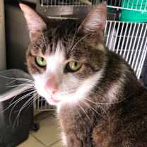 Thumbnail photo of ZOLA! #2