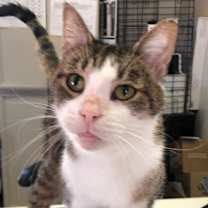 Thumbnail photo of ZOLA! #3